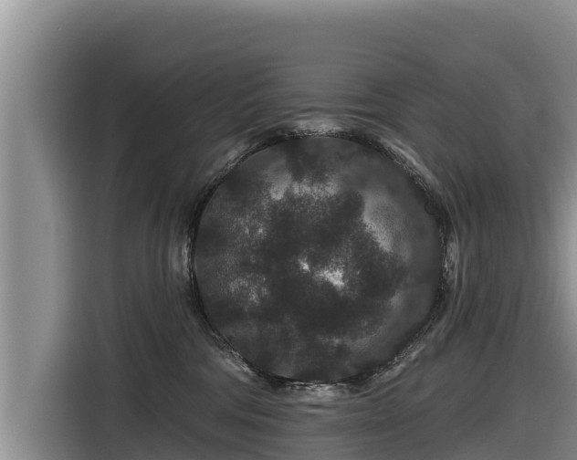 X0000116870330200912291324