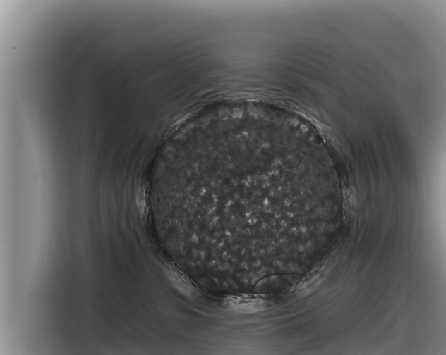 X0000116870331200912291324
