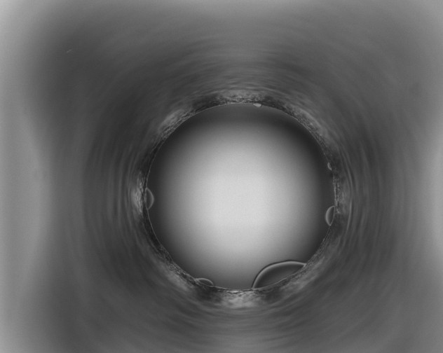 X0000116870334200912291324