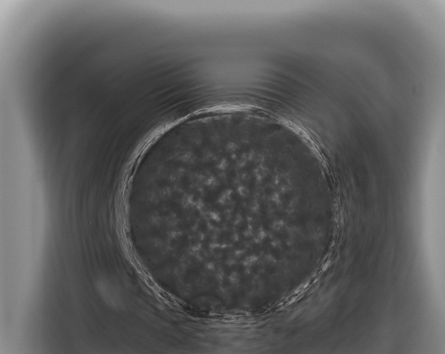 X0000116870337200912291324