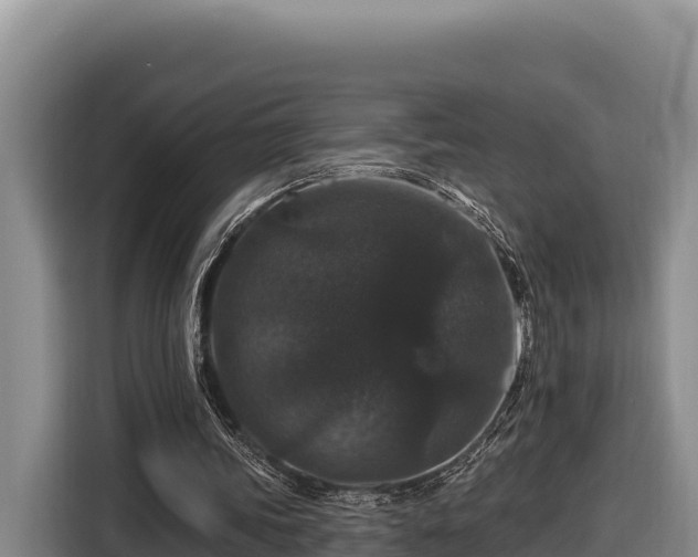 X0000116870339200912291324