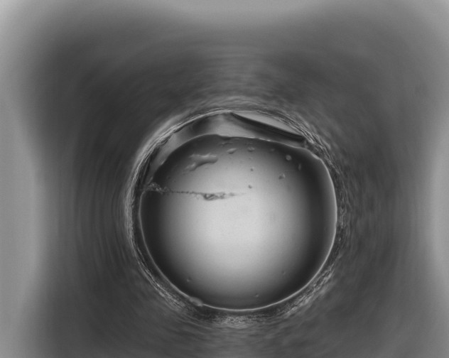 X0000116870341200912291324