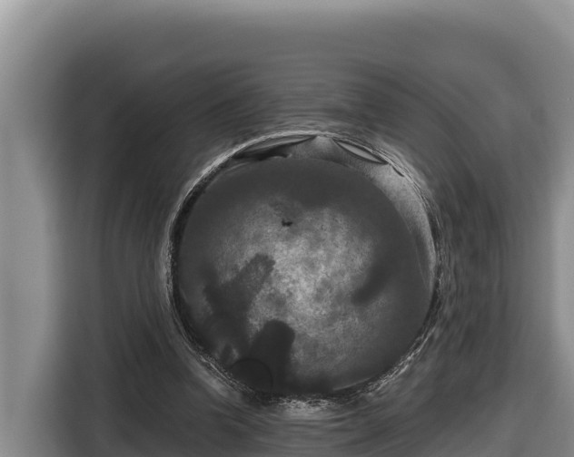 X0000116870346200912291324