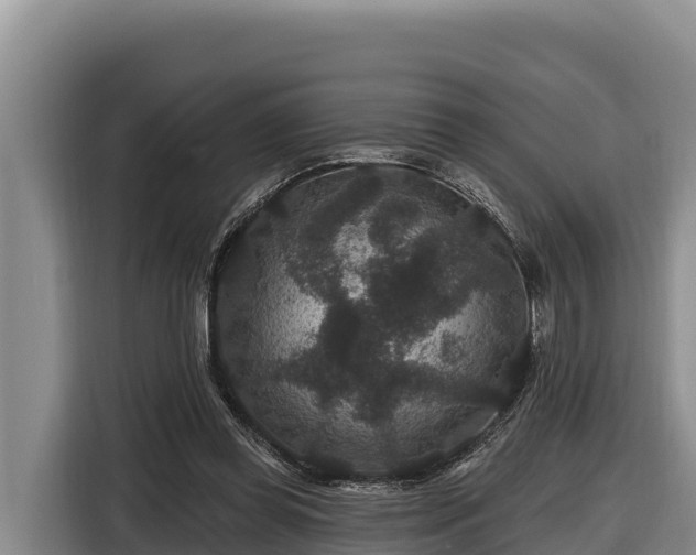 X0000116870349200912291324
