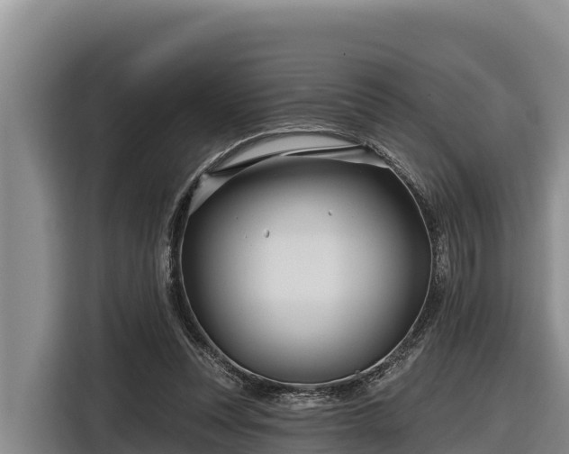 X0000116870351200912291324