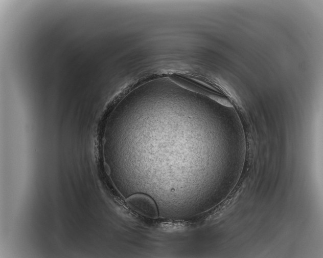 X0000116870354200912291324