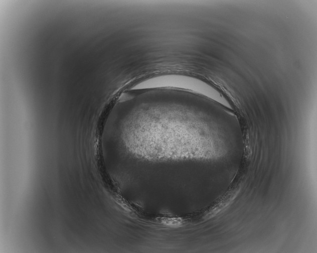 X0000116870355200912291324