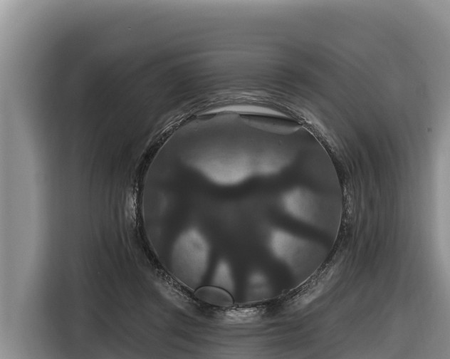 X0000116870357200912291324