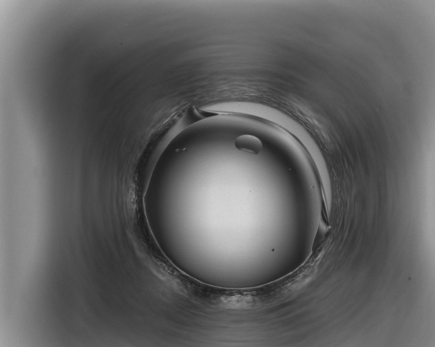 X0000116870362200912291324