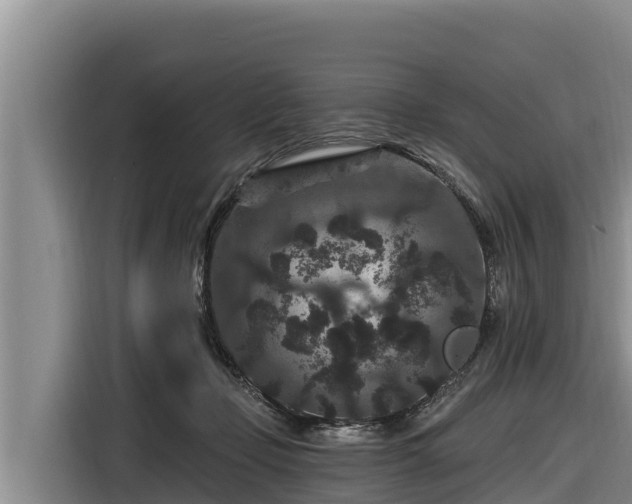 X0000116870365200912291324