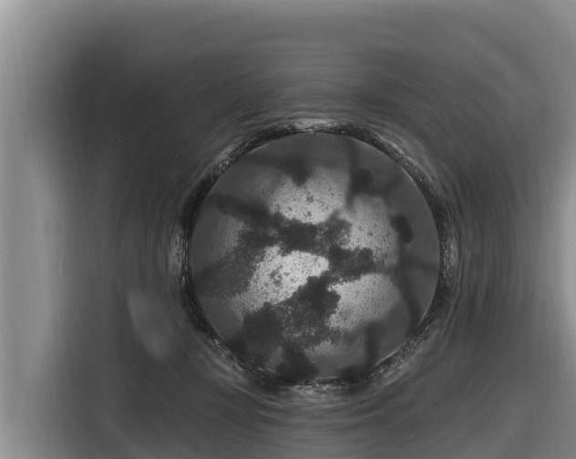 X0000116870367200912291324