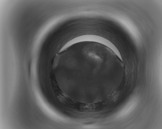 X0000116870383200912291324