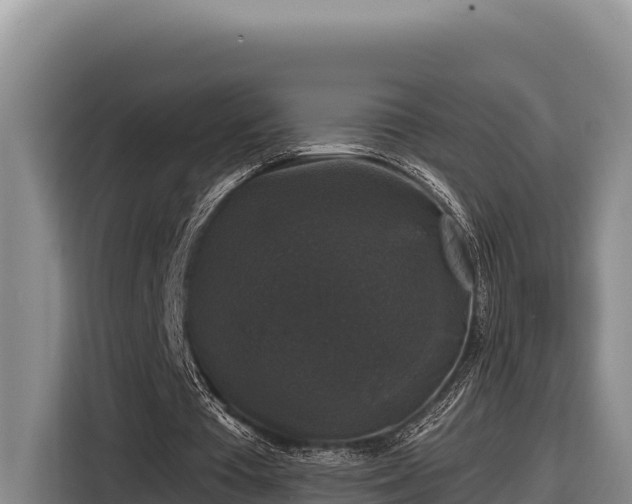 X0000116870385200912291324