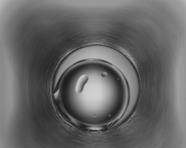 X0000116870386200912291324