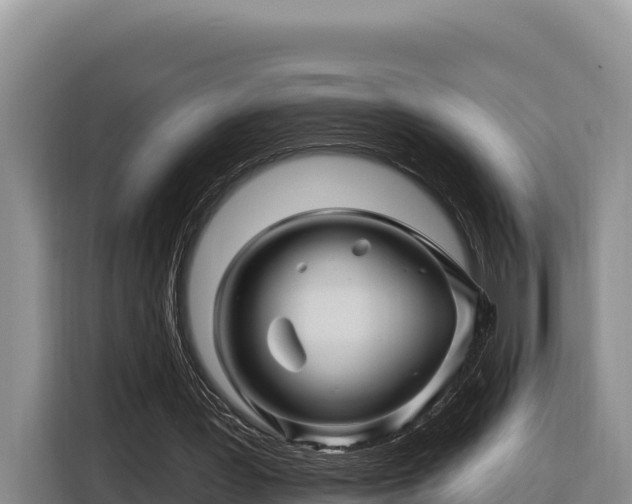 X0000116870387200912291324