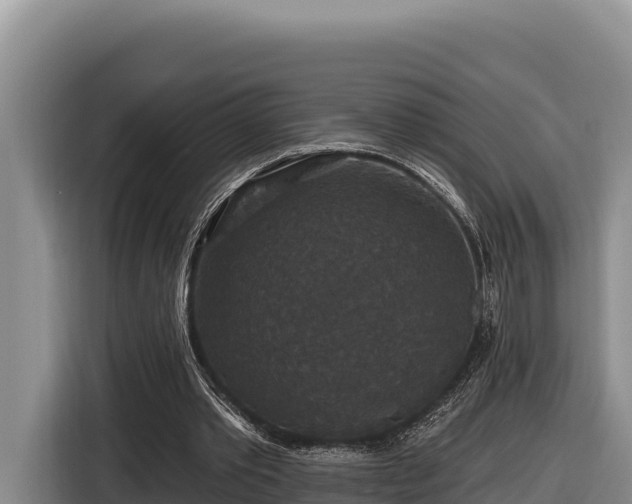 X0000116870389200912291324