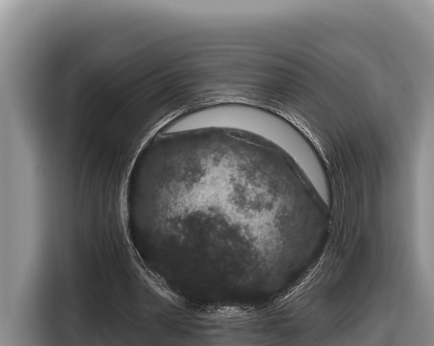 X0000116870390200912291324