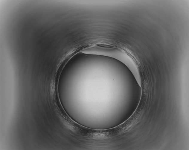 X0000116870394200912291324