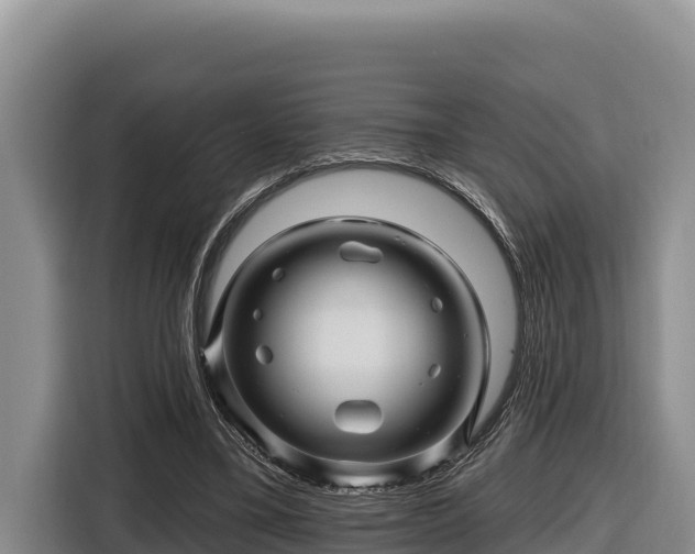 X0000116870395200912291324