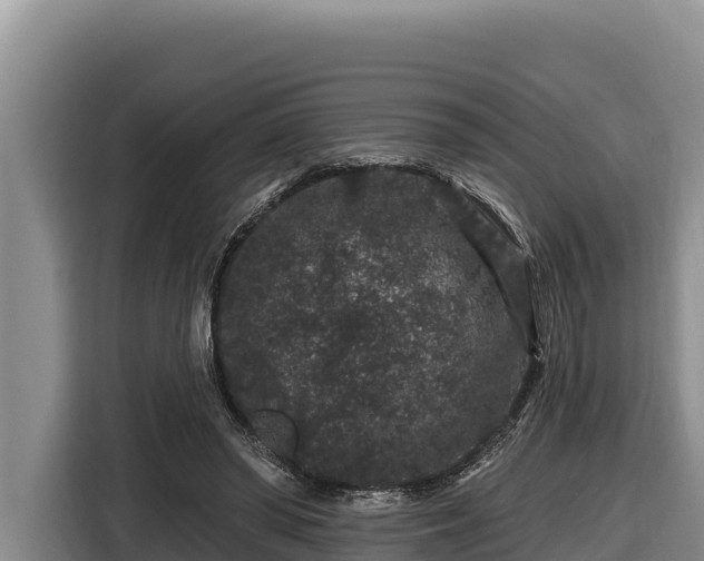 X0000116870398200912291324