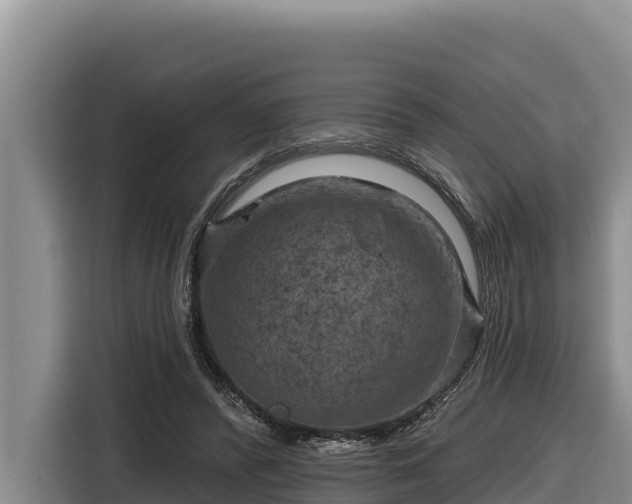 X0000116870400200912291323
