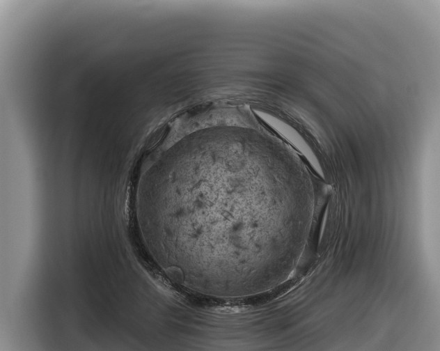 X0000116870404200912291323