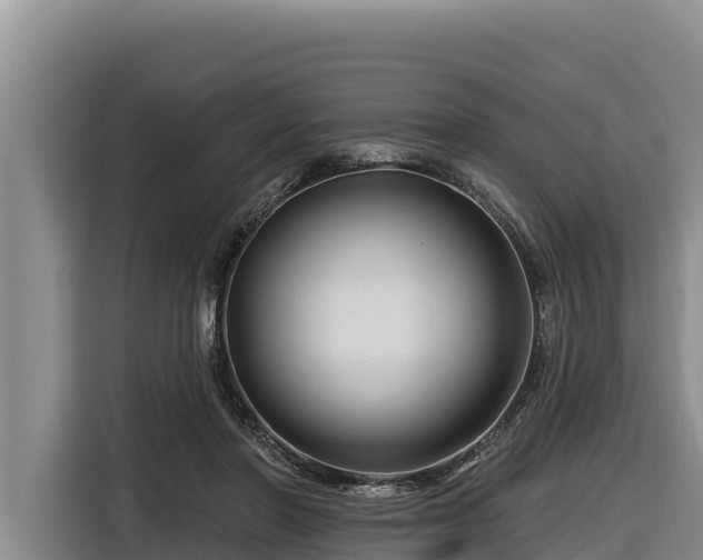 X0000116870406200912291323