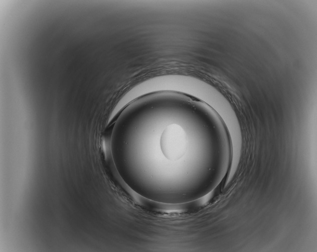 X0000116870417200912291323
