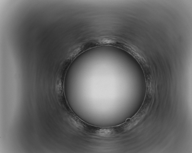 X0000116870418200912291323