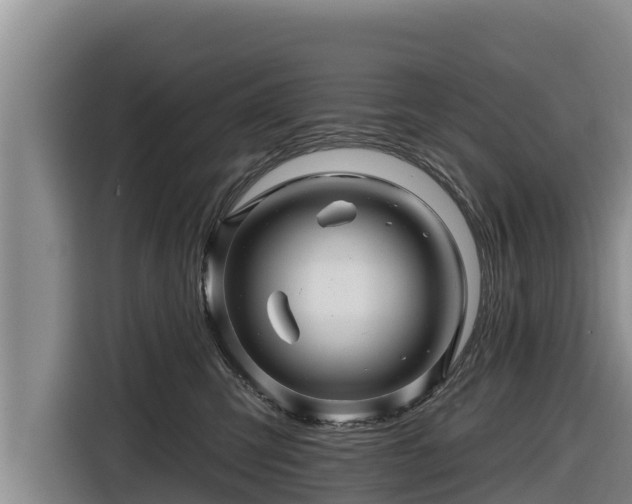 X0000116870423200912291323