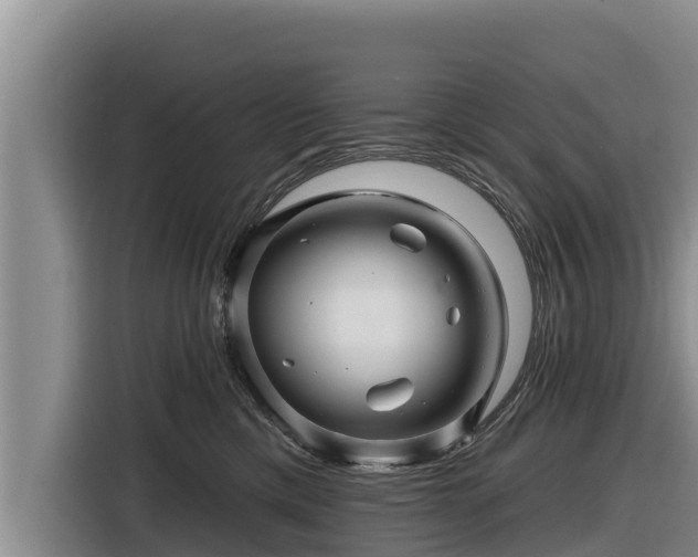 X0000116870425200912291323