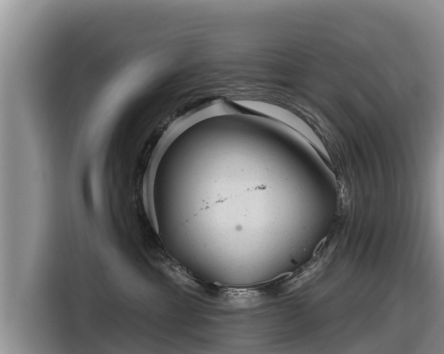 X0000116870429200912291323