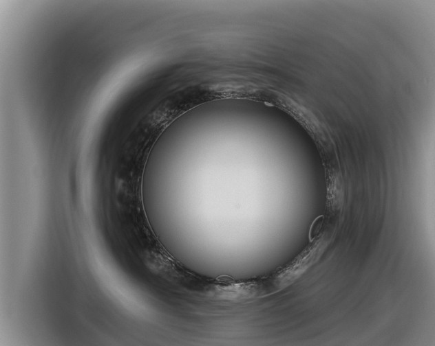 X0000116870430200912291323