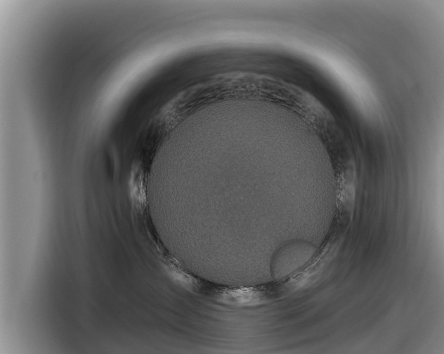X0000116870431200912291323