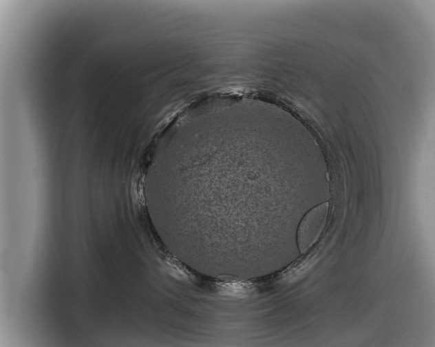 X0000116870432200912291323