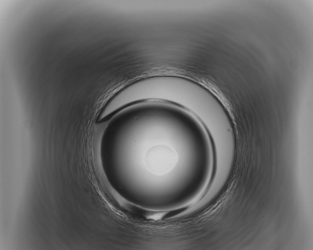 X0000116870433200912291322