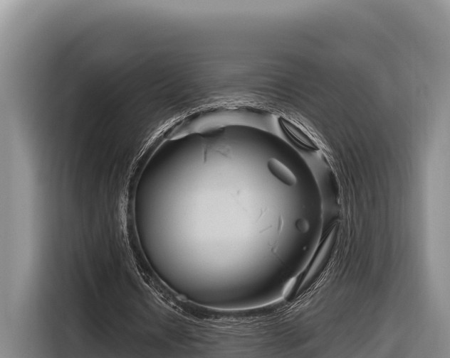 X0000116870434200912291322
