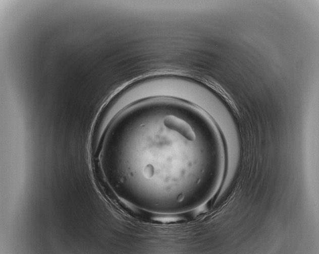 X0000116870436200912291322