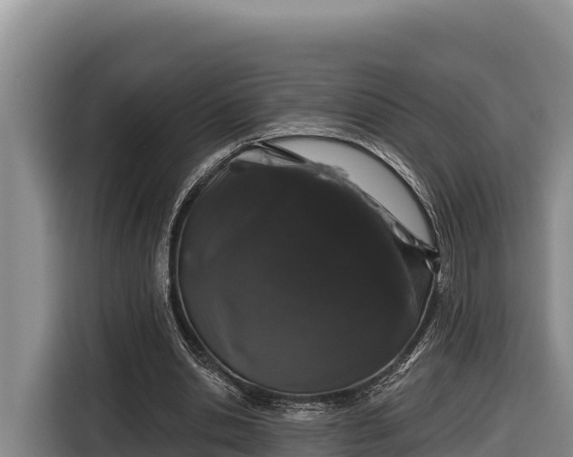 X0000116870438200912291323
