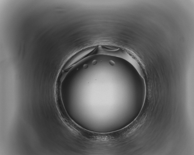 X0000116870439200912291323
