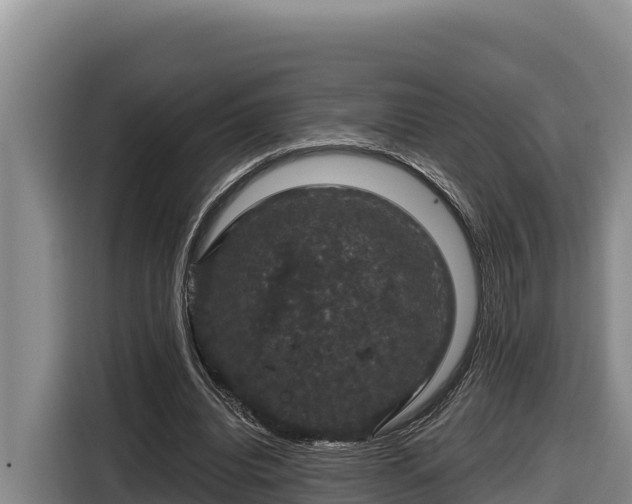 X0000116870440200912291323