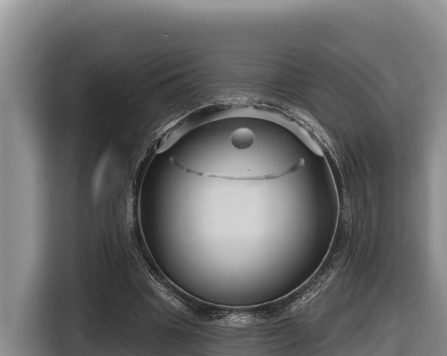 X0000116870441200912291323