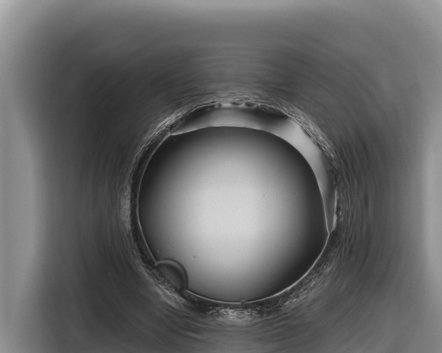 X0000116870442200912291323