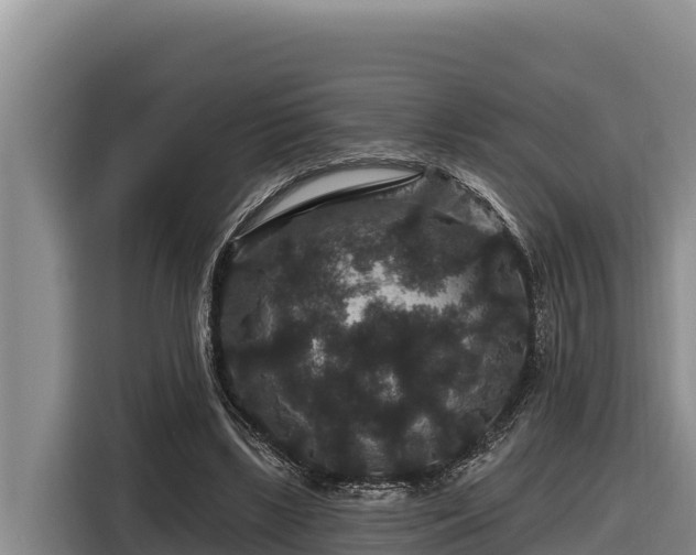 X0000116870443200912291323