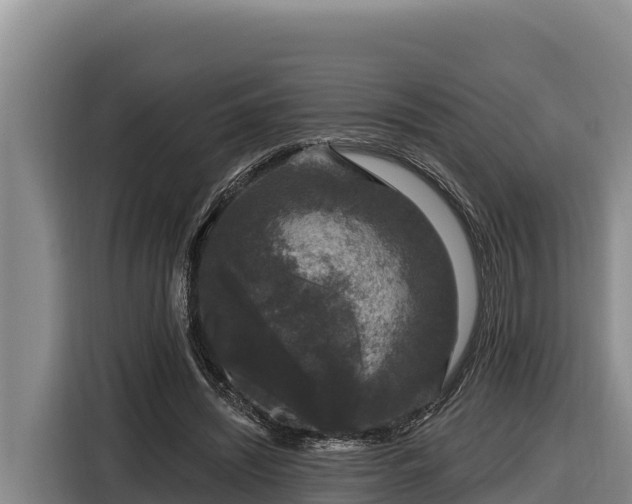 X0000116870444200912291323