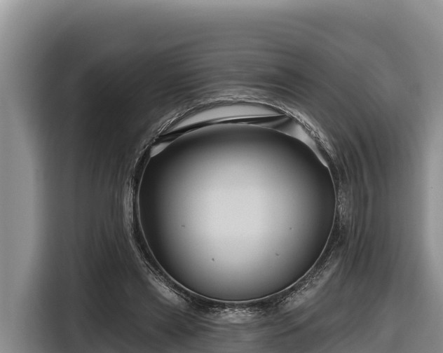 X0000116870445200912291323
