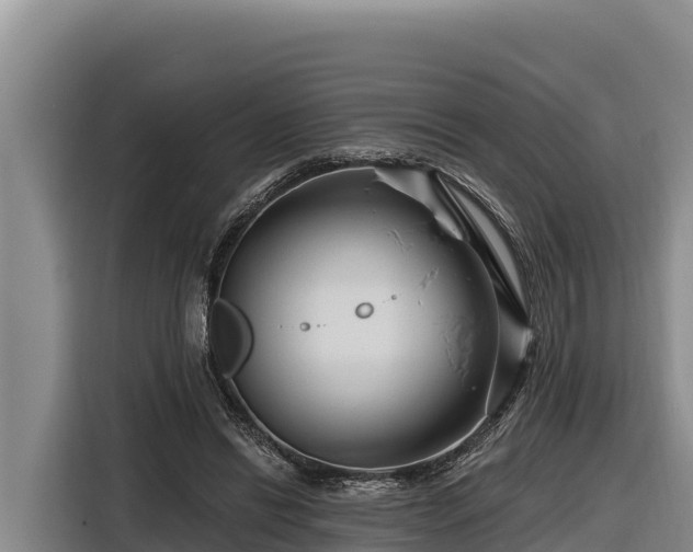 X0000116870446200912291323