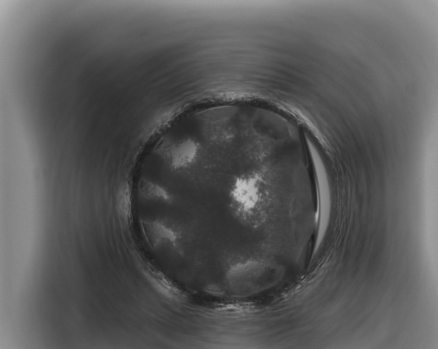 X0000116870447200912291323
