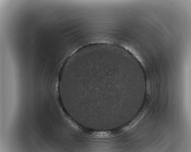 X0000116870449200912291323