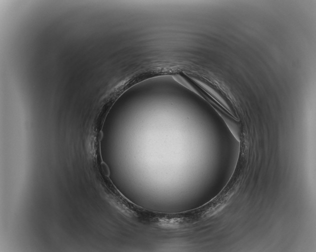 X0000116870450200912291323